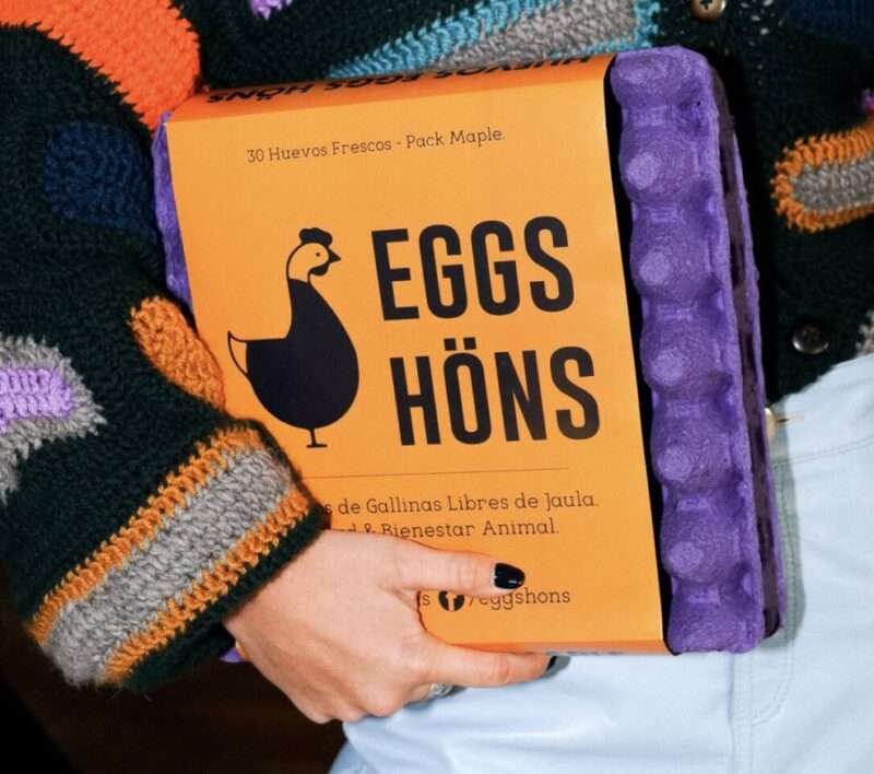 Pack 6 Maples Blancos de Huevos Eggs Höns