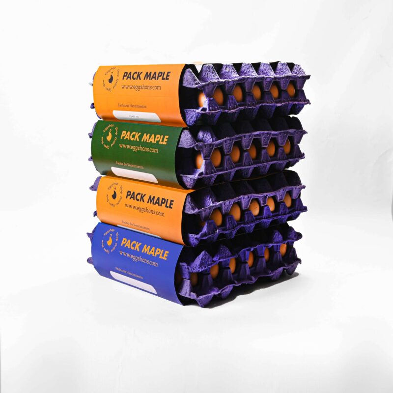 Pack Color 4 Maple de Huevos Eggs Höns